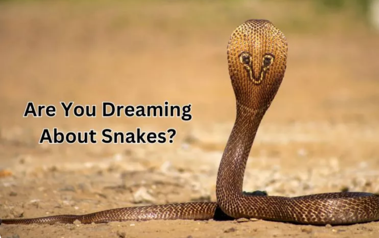 dream snakes meaning