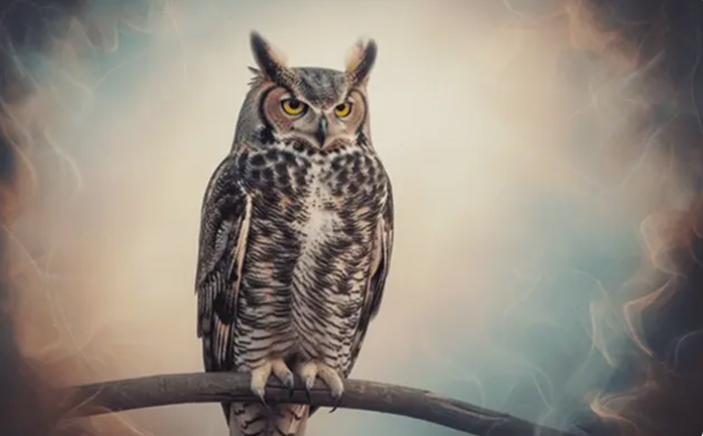 owl in dream meaning