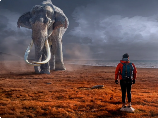 elephant dream meaning