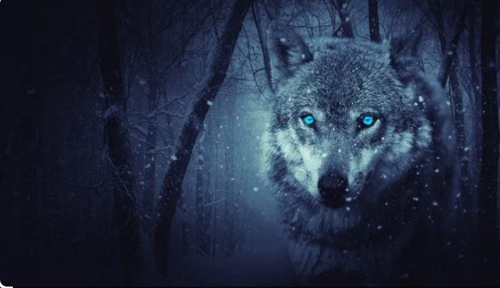 wolf dream meaning