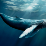 biblical meaning of a whale in a dream