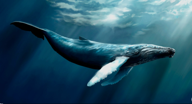 biblical meaning of a whale in a dream