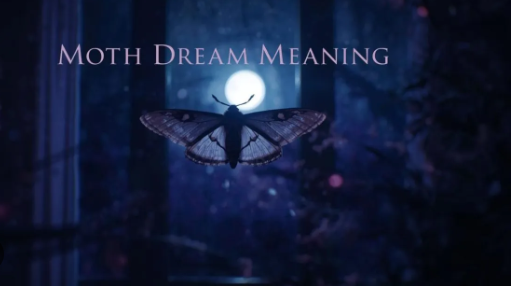 moth dream meaning