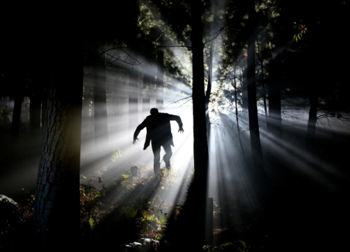 being chased in a dream meaning