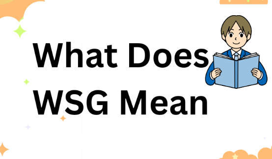 What Does WSG Mean
