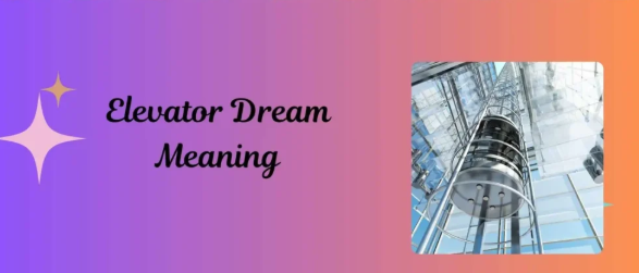 Biblical Meaning of Garbage in Dream