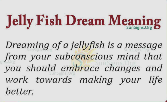 Jellyfish Dream Meaning