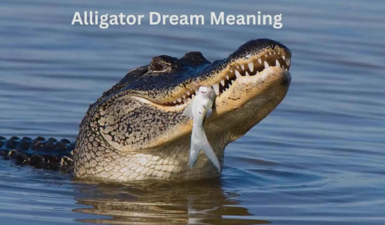Dream of Alligator Meaning