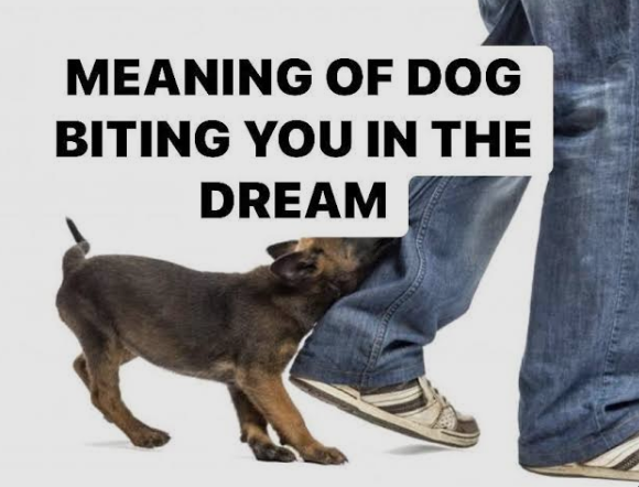 Dog Biting Dream Meaning